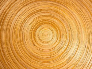 How Bamboo Sheets Are Made